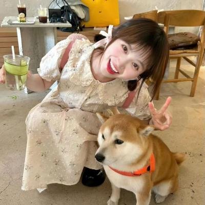 谎话连篇