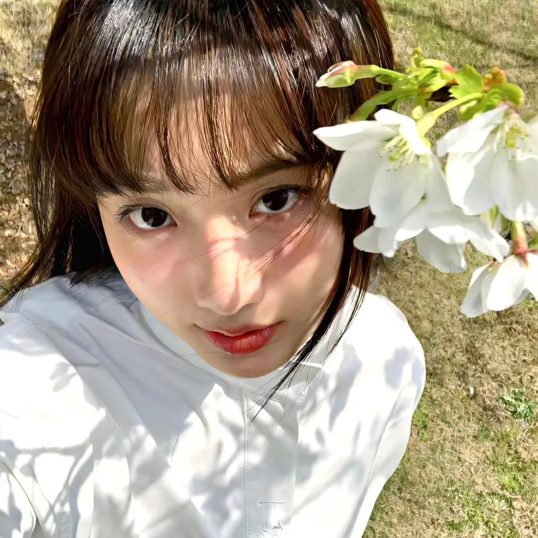文艺复兴教父:美第奇家族